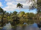 cuba-water-pools-lake-river-1233009.jpg