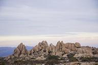 Boulders_near_Jumbo_Rocks_campground.jpg