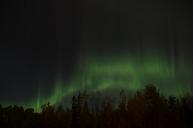 northern-lights-aurora-borealis-sky-1123413.jpg