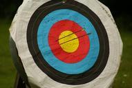 arch-archery-edition-disc-arrows-602127.jpg