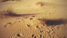 desert-fingerprint-sardinia-hot-1430838.jpg