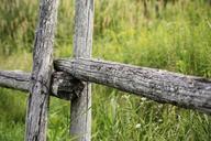 field-countryside-fence-grassland.jpg