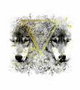 wolves-geometric-wild-970553.jpg