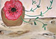 paint-image-poppy-blossom-bloom-75200.jpg