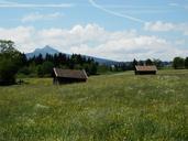 meadow-allg%C3%A4u-greened-panorama-371265.jpg