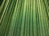 pattern-green-texture-vintage-643990.jpg