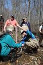 People working in wild forest.jpg