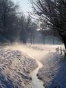 wintry-snow-white-snowy-552840.jpg