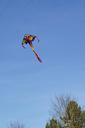 dragons-kite-flying-sky-blue-1047121.jpg