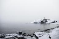 coast-boulders-footbridge-shore-984111.jpg