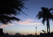 sunset-dusk-silhouette-palm-trees-926577.jpg