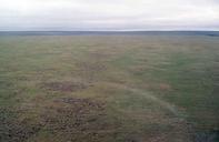 Tundra Aalaska national wildlife refuge.jpg