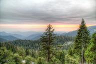 Sequoia_National_Park.jpg