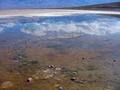 Death valley badwater salt.jpg