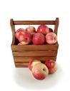 apples-basket-set-vintage-isolated-922837.jpg