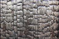 pattern-wood-grain-972217.jpg