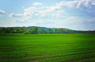 fields-green-agriculture-crops-72899.jpg