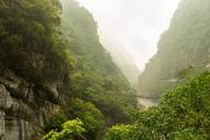 taiwan-suspension-bridge-landscape-1416539.jpg