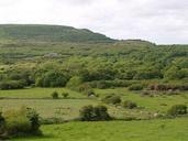 Fields hills forests Ireland.jpg