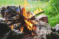 fire-campfire-flame-burn-wood-842311.jpg