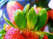 strawberry-fruit-macro-berry-red-665065.jpg