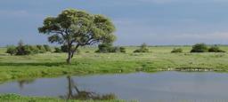 namibia-etosha-watering-hole-lake-1350061.jpg