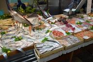 Fresh-seafood-arrangement-displayed-in-market.jpg