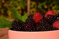 raspberries-blackberries-fruits-1550461.jpg