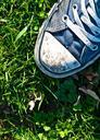 shoes-grass-summer-leisure-live-603564.jpg