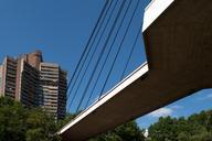 bridge-suspension-bridge-mannheim-649409.jpg