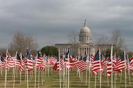 flags-for-children-abuse-101923.jpg