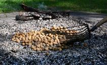 potato-fire-potato-roast-embers-eat-928966.jpg