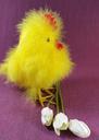 easter-chicks-chicken-hahn-cute-631681.jpg