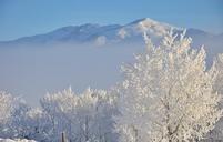 hoar-frost-snow-white-1386798.jpg