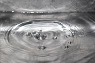 water-drops-droplets-droplet-grey-72879.jpg