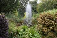 park-fountain-trees-rest-landscape-424786.jpg