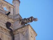 Gargola Catedral Palencia.JPG