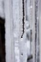 ice-icicle-drip-defrost-cold-633161.jpg