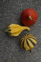 pumpkin-gourd-deco-autumn-1005122.jpg