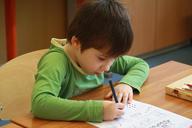 school-the-pupil-writing-649391.jpg