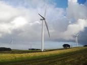 wind-turbine-wind-farm-field-961072.jpg