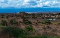 safari-africa-park-grassland-1340699.jpg