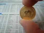 gold-gold-coin-598377.jpg