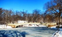 central-park-new-york-city-landmark-178379.jpg