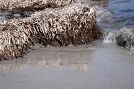 beach-sand-sea-seaweed-mirroring-1608598.jpg