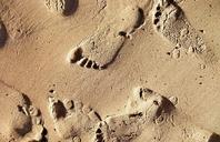 sand-beach-footprints-traces-1239641.jpg