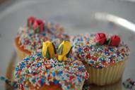 cupcake-cookie-party-birthday-655381.jpg