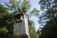 bird-house-birdhouse-trees-wood-1209792.jpg