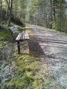 park-bench-trail-spring-nature-345249.jpg