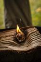 flame-catching-fire-wood-cutting-1713756.jpg